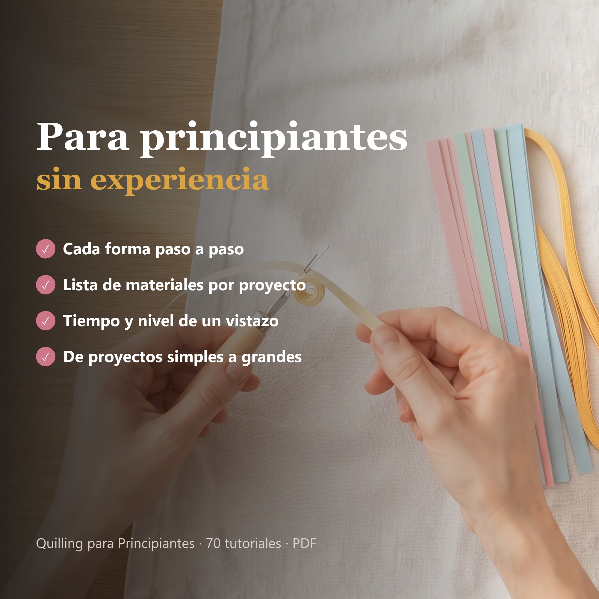 Imagen 10