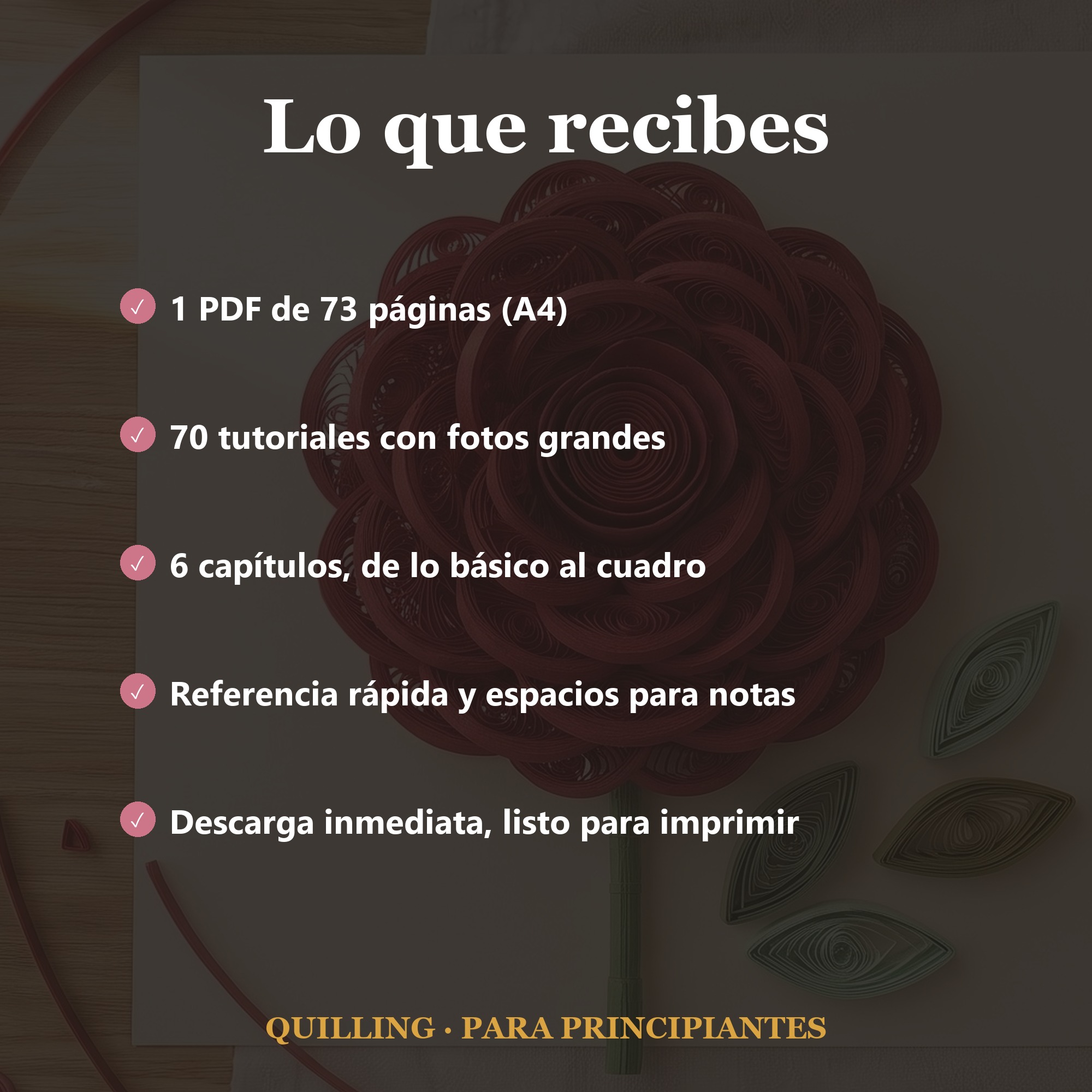 Imagen 21